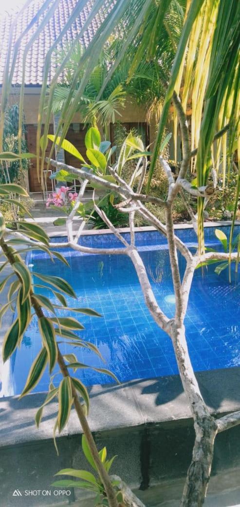Belong Home Stay Lembongan Eksteriør billede