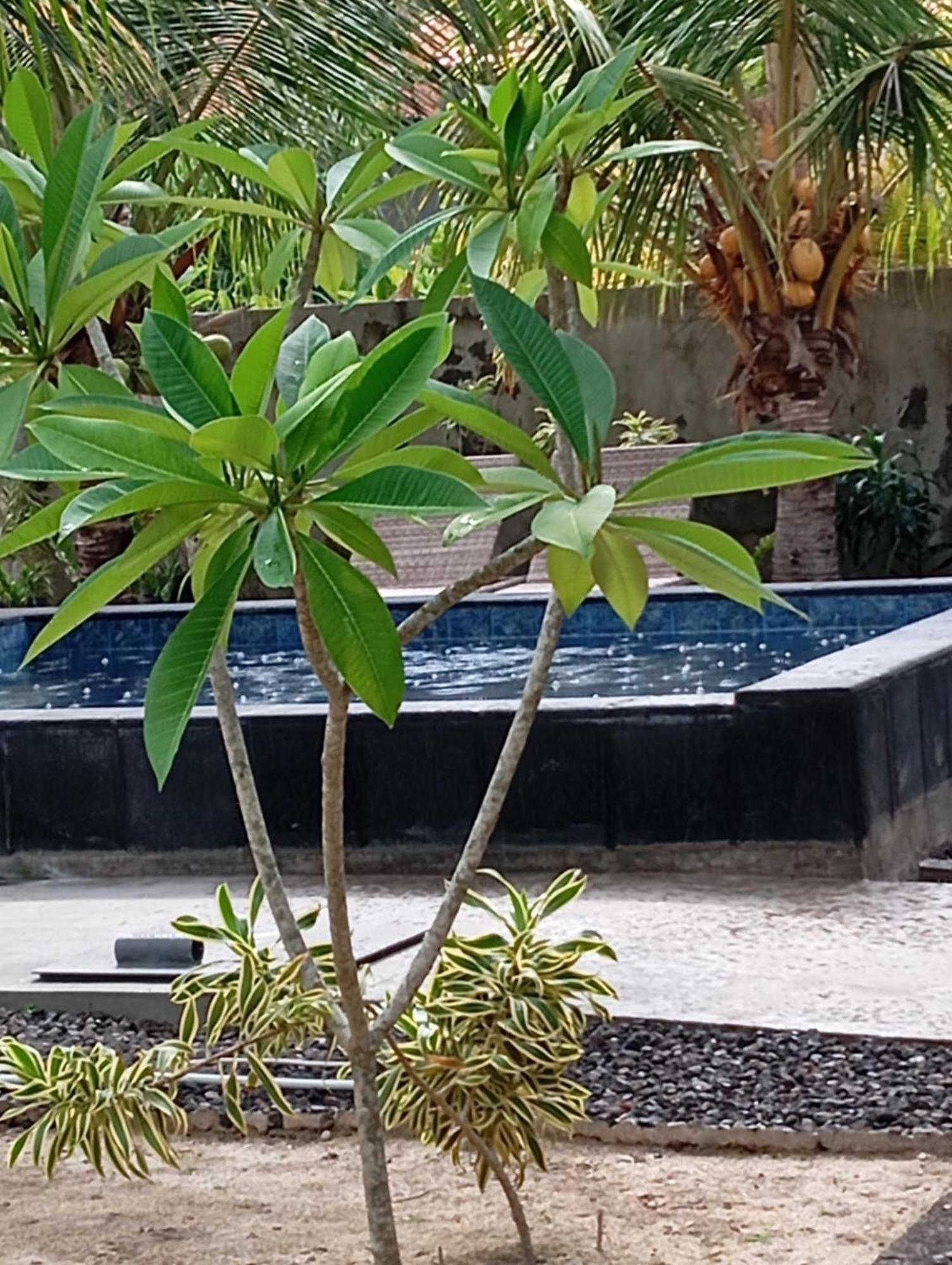 Belong Home Stay Lembongan Eksteriør billede